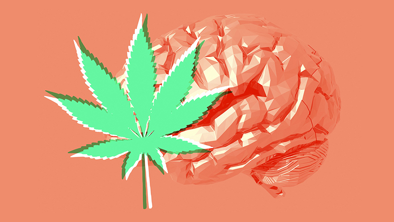 nm-qd-what-marijuana-developing-brains_preview