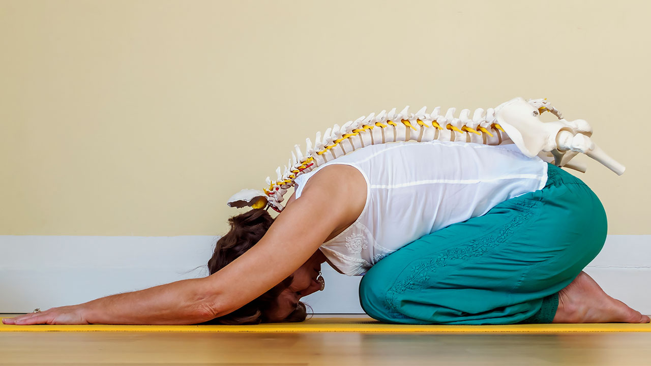 Science-Based Benefits of Yoga | Northwestern Medicine