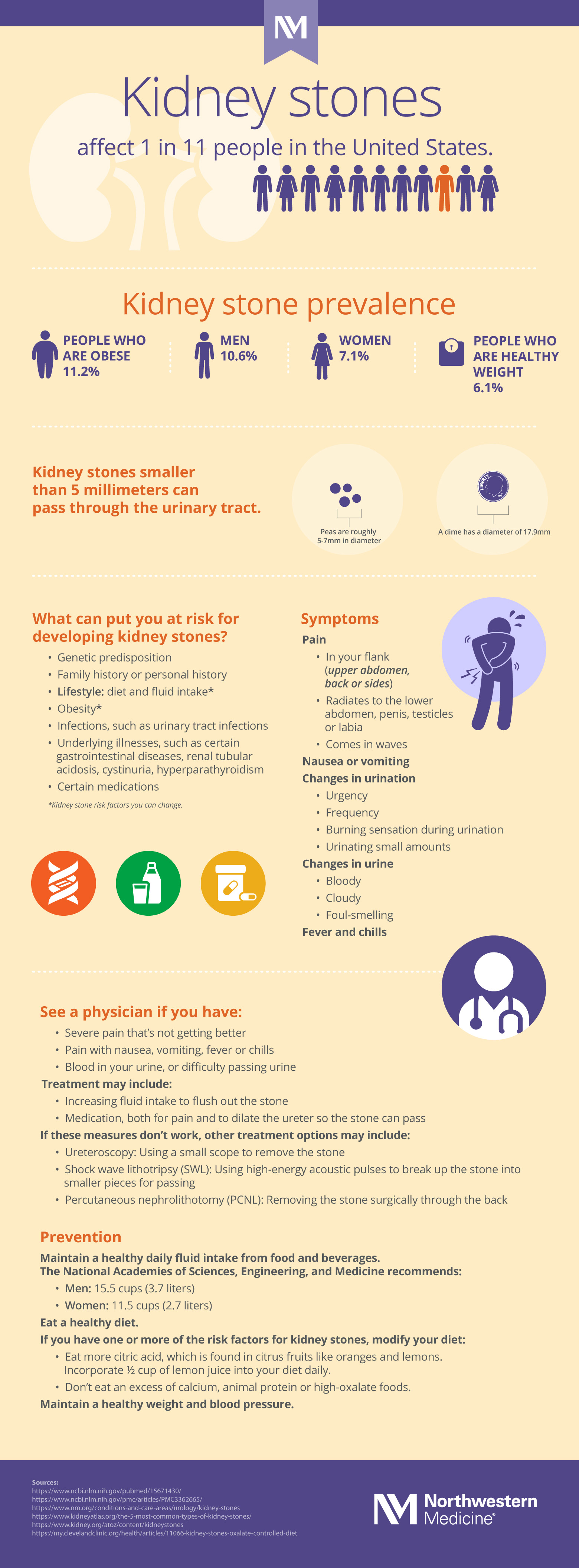Kidney Stones 101 (Infographic) Northwestern Medicine