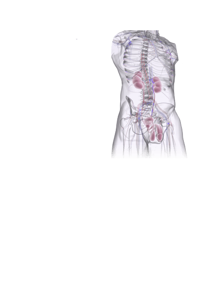 Animated medical themed image