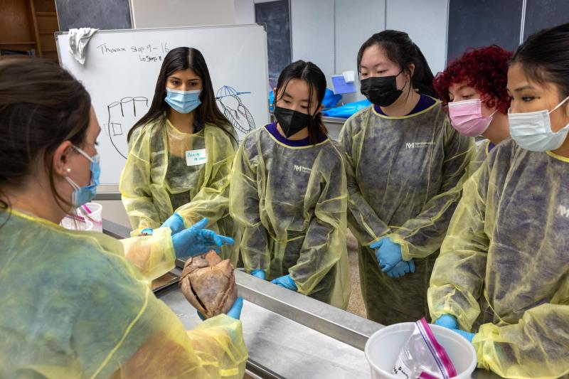 Students in the Discovery Program wearing masks and gowns. They are standing around a table that has organs in trays.