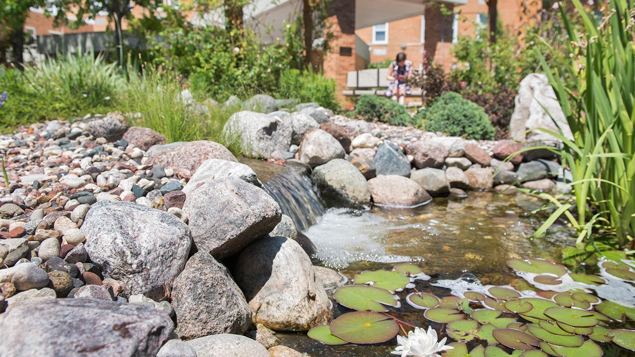 nm-the-healing-power-of-gardens-feature