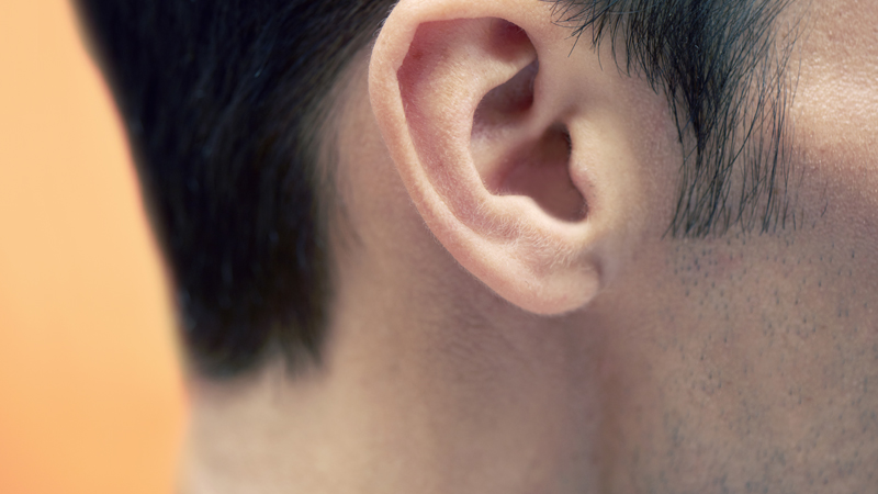 Closeup of a human’s ear.