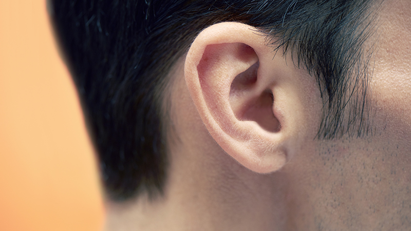 Closeup of a human’s ear.