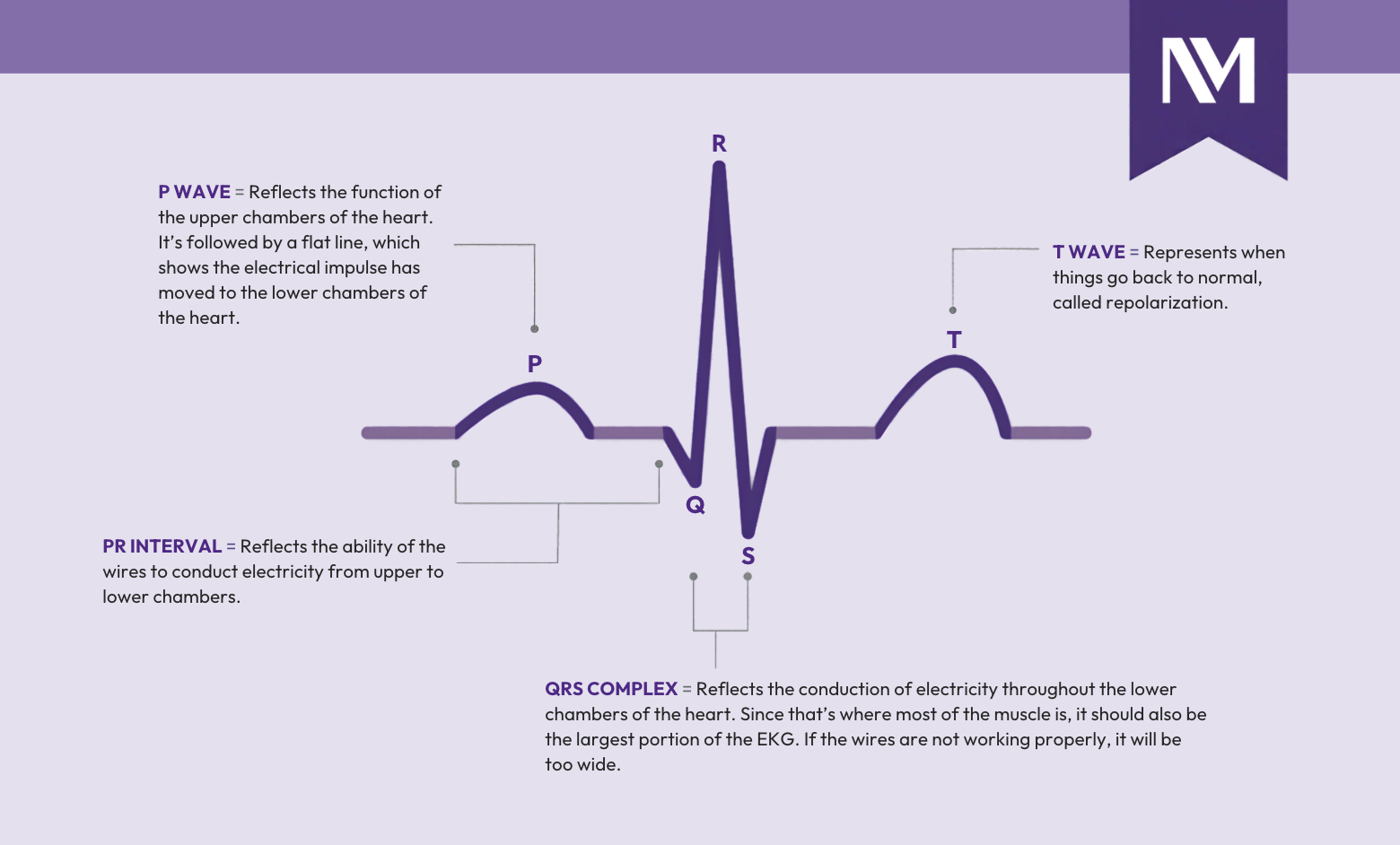 Basics of ECG Rework Oct 2026 V2