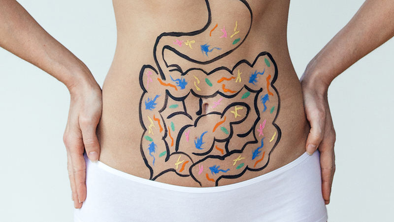 Torso of light-skinned person with a line drawing of stomach and intestines painted on it, with red, blue, green and yellow dashes of color.