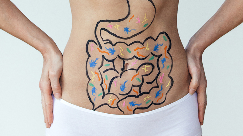 Torso of light-skinned person with a line drawing of stomach and intestines painted on it, with red, blue, green and yellow dashes of color.