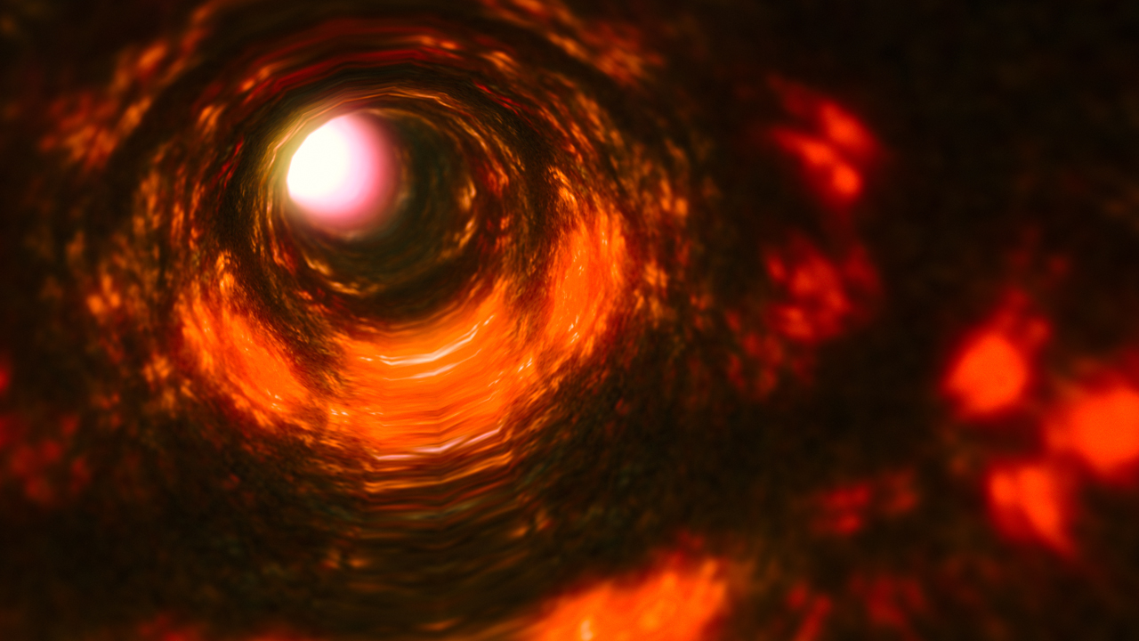 Internal look at the colon.