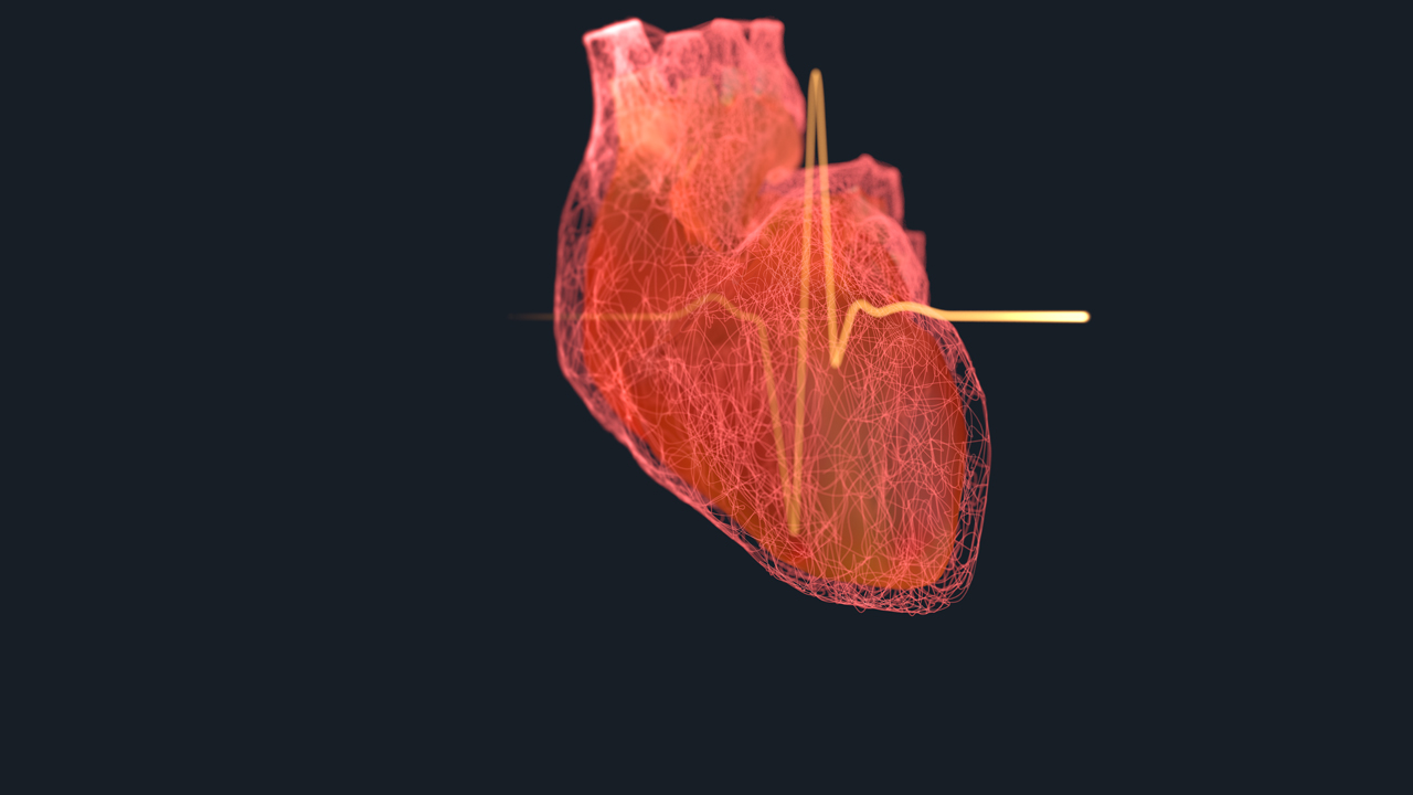 A conceptualized human heart on a black background with a heart rate line overlay. 