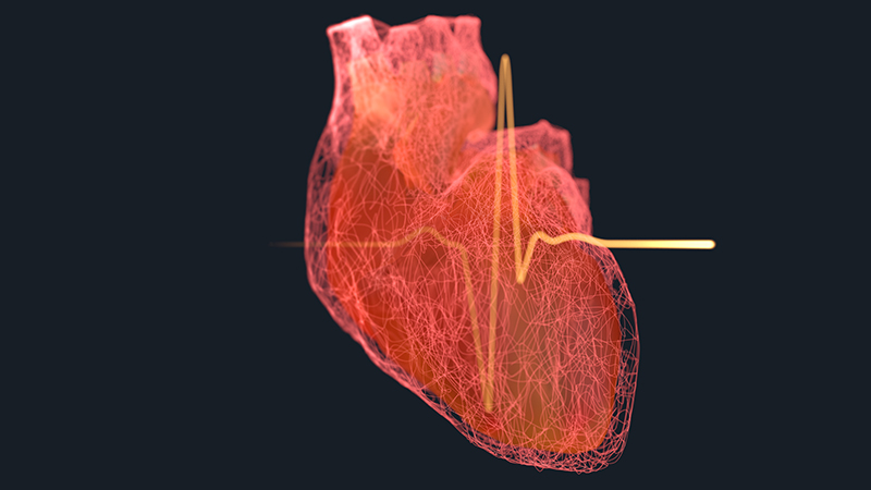A conceptualized human heart on a black background with a heart rate line overlay. 