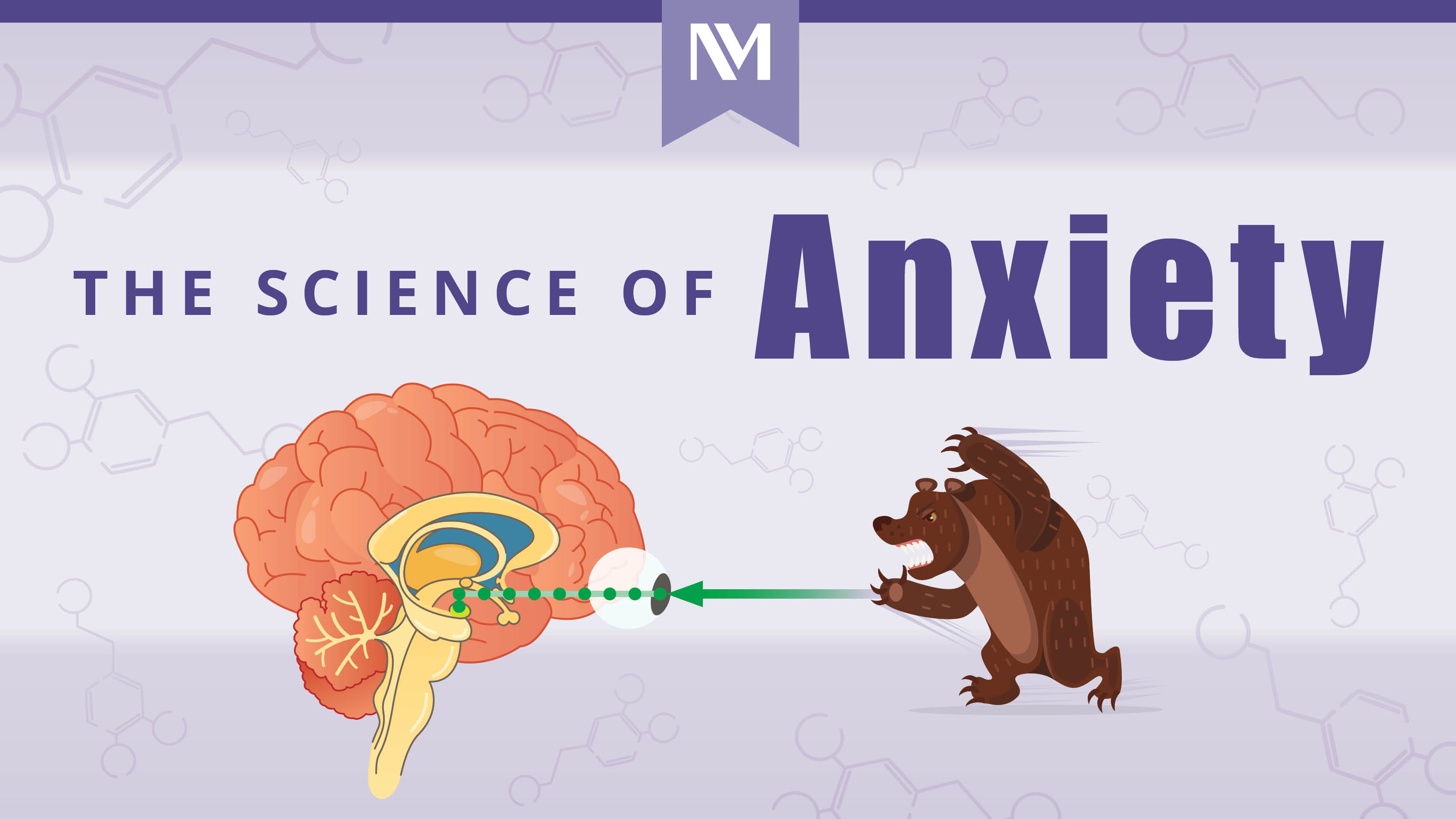The Science of Anxiety (Infographic)