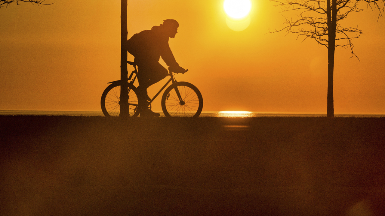 Cyclist on the treelined bike lanes on Chicago's lakefront at sunrise.