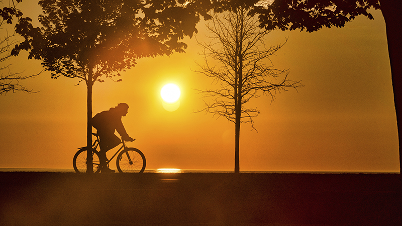 Cyclist on the treelined bike lanes on Chicago's lakefront at sunrise.