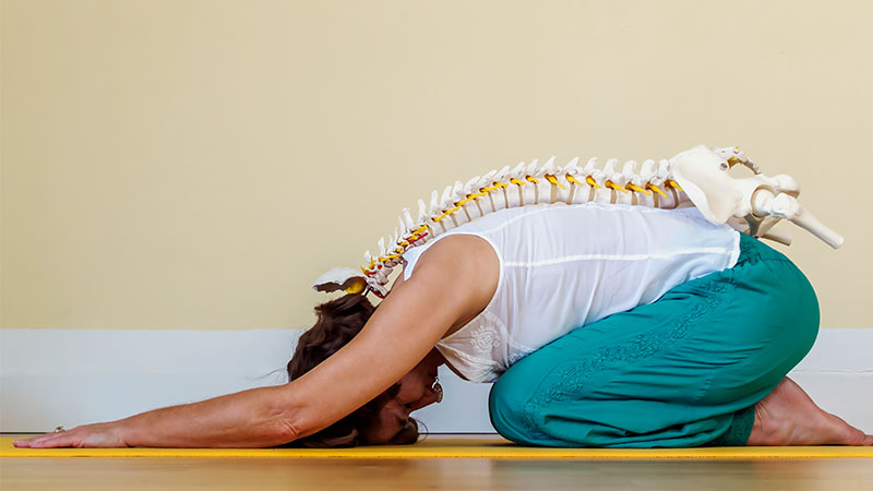 nm-science-based-yoga_preview