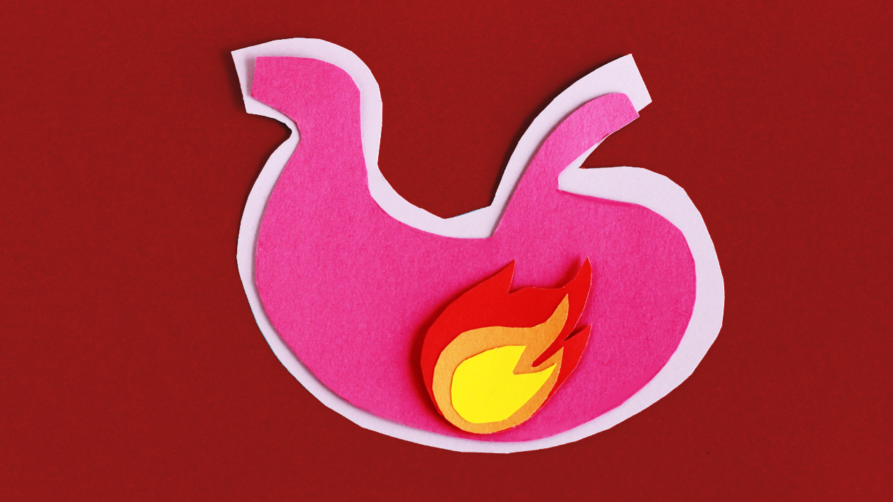Stomach illustration made of pink felt with a red and yellow flame inside, on a red felt background.
