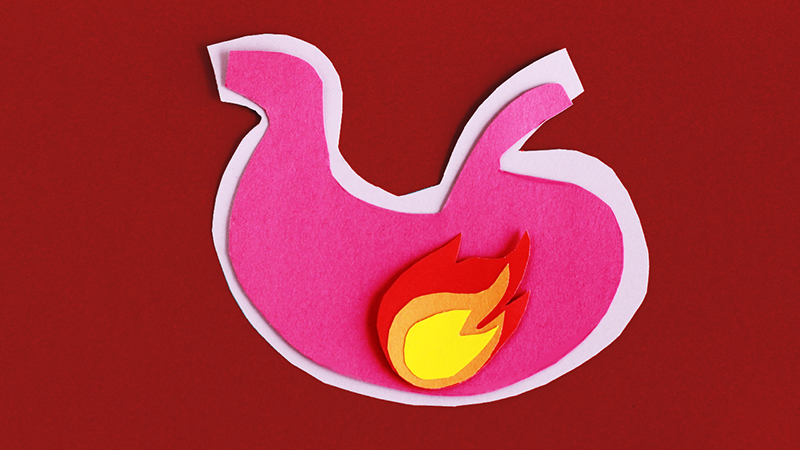 Pink felt stomach illustration, with a red and yellow felt flame inside, on a red felt background.