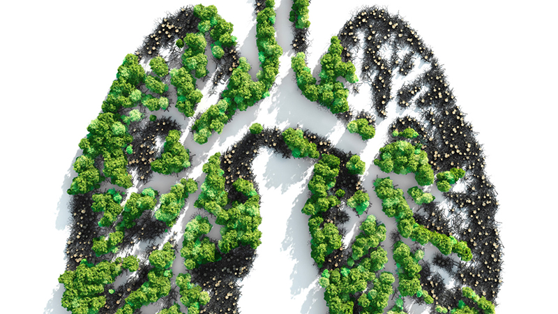 Quick Dose: How Climate Change Affects Your Health | Northwestern Medicine