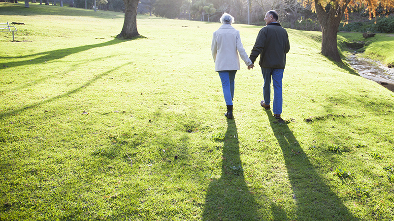 Two people holding hands and walking together in a park with green grass on a sunny day.