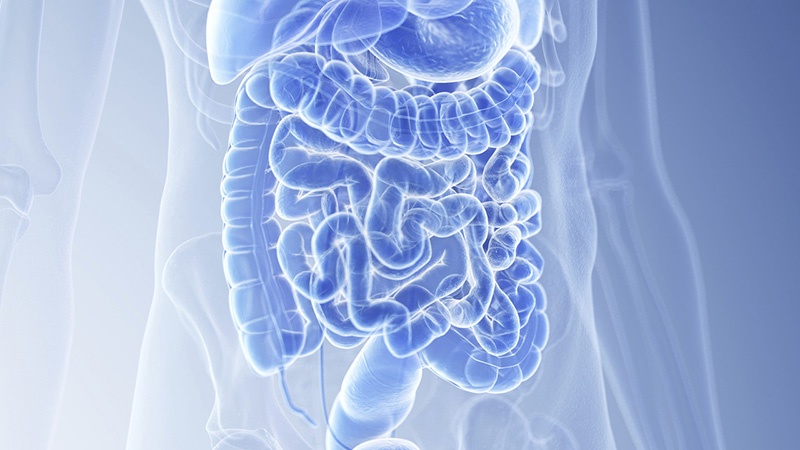 Is-My-Digestion-Normal_preview