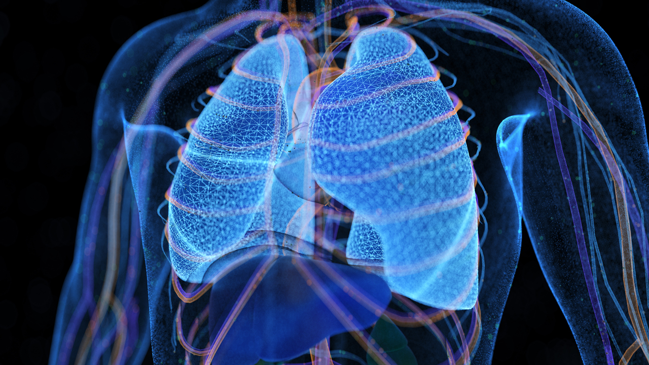 Illustration of blue lungs on dark background.