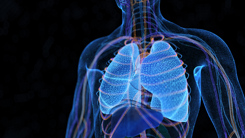 Illustration of blue lungs on dark background.
