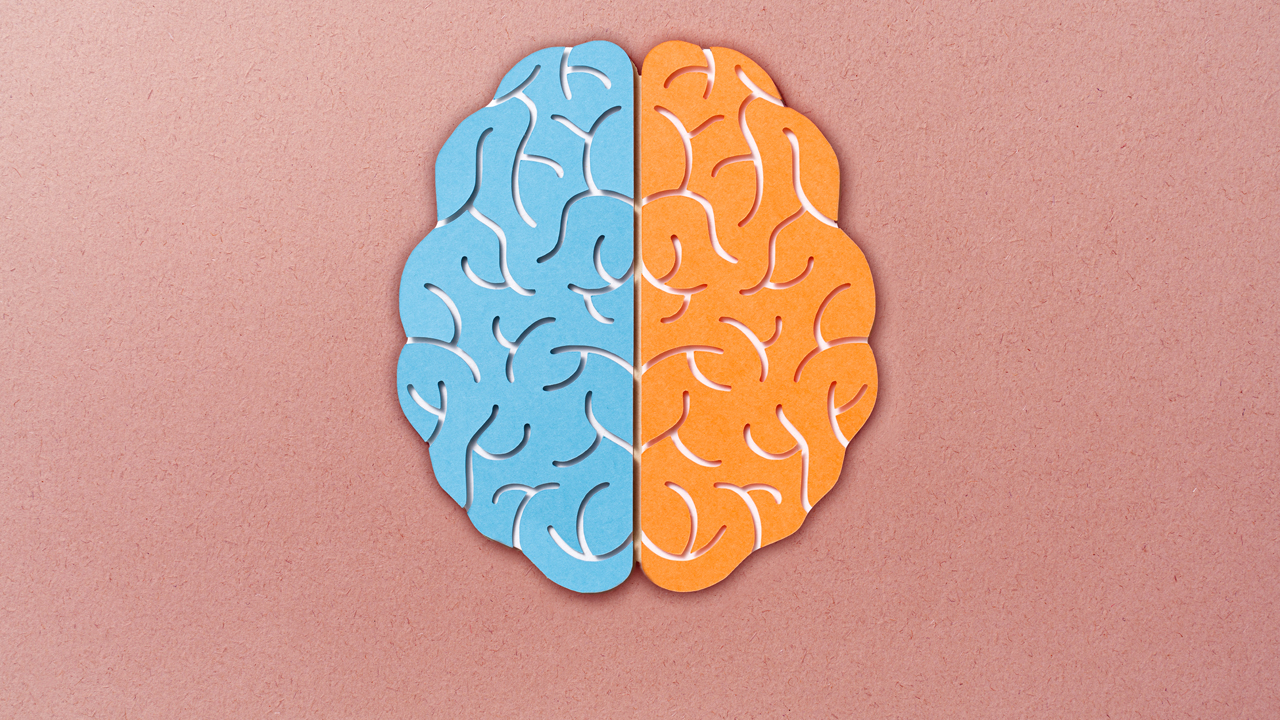 A paper model of the brain with a blue left side and orange right side.