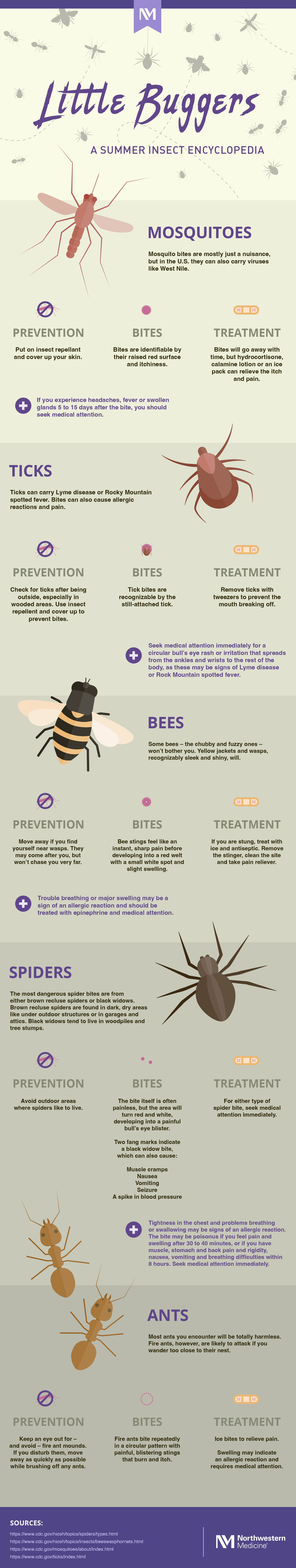 Infographic with title Little Buggers: A Summer Insect Encyclopedia, and subheadings for Mosquitoes, Ticks, Bees, and Spiders with an illustration of the insect and Prevention, Bites and Treatment information for each.