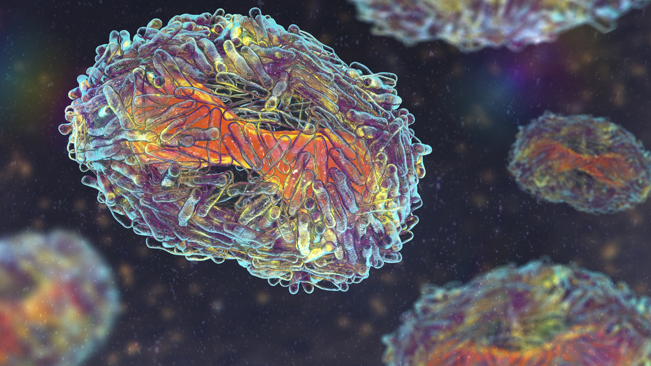 Monkeypox-What-You-Need-to-Know_ft