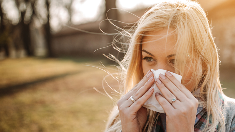 nm-fall-breezes-autumn-sneezes_preview