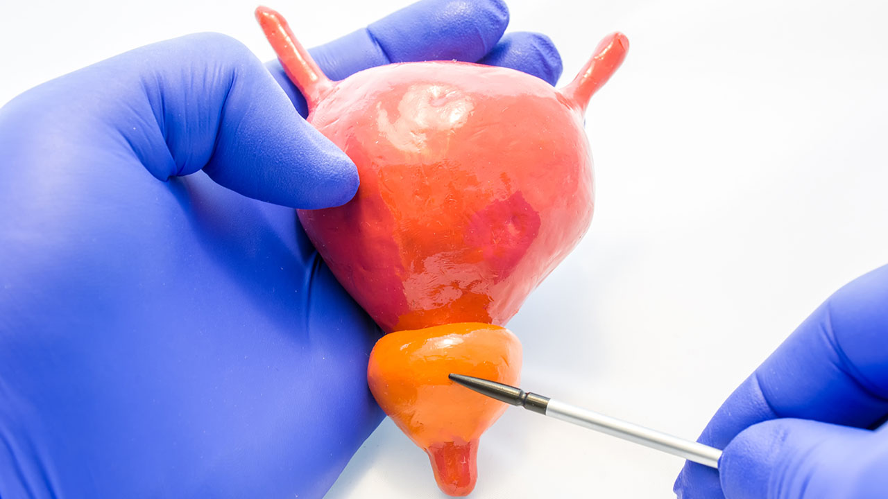 How to Keep Your Prostate Healthy Northwestern Medicine