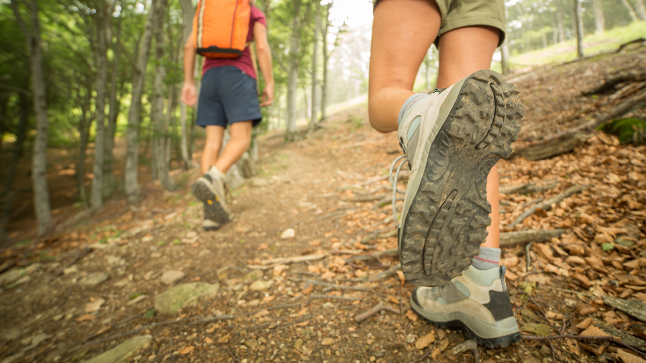 Health Benefits of Nature Bathing Northwestern Medicine