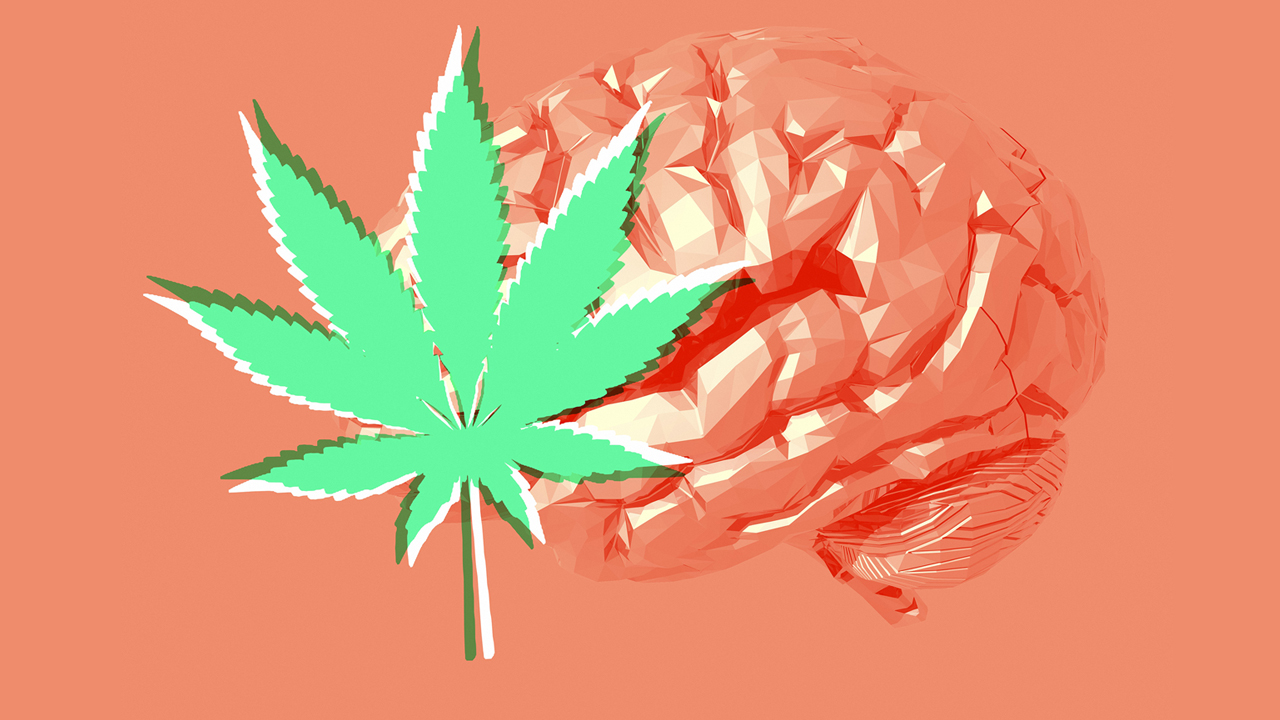 nm-qd-what-marijuana-developing-brains_feature