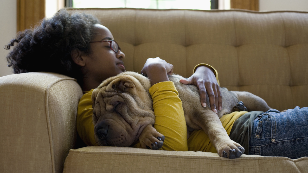 Woman in yellow shirt and jeans sleeps on a gold couch with her arms around a shar pei dog sleeping on her chest. 