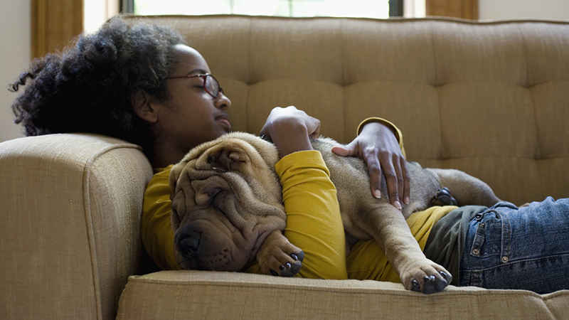 Woman in yellow shirt and jeans sleeps on a gold couch with her arms around a shar pei dog sleeping on her chest. 