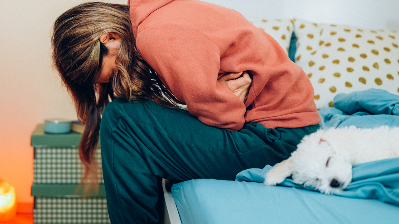 A person with stomach pain hanging out at home with their white dog.