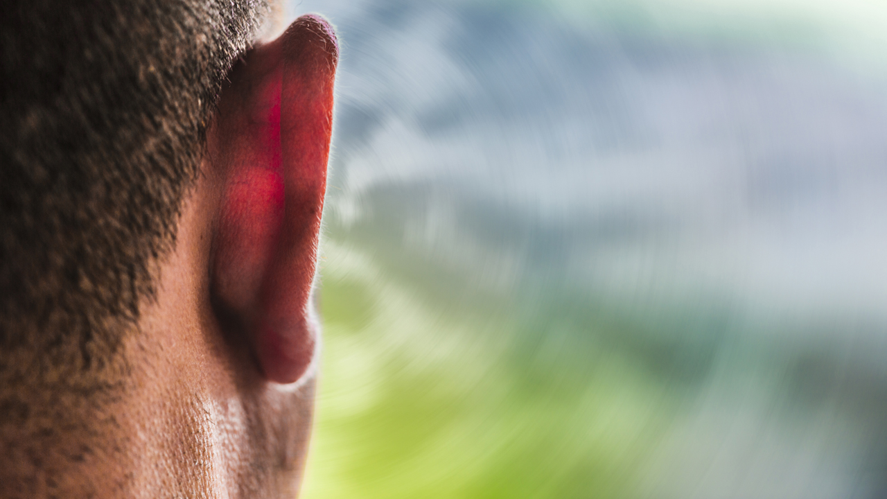 Closeup of a human ear with an outdoor background.