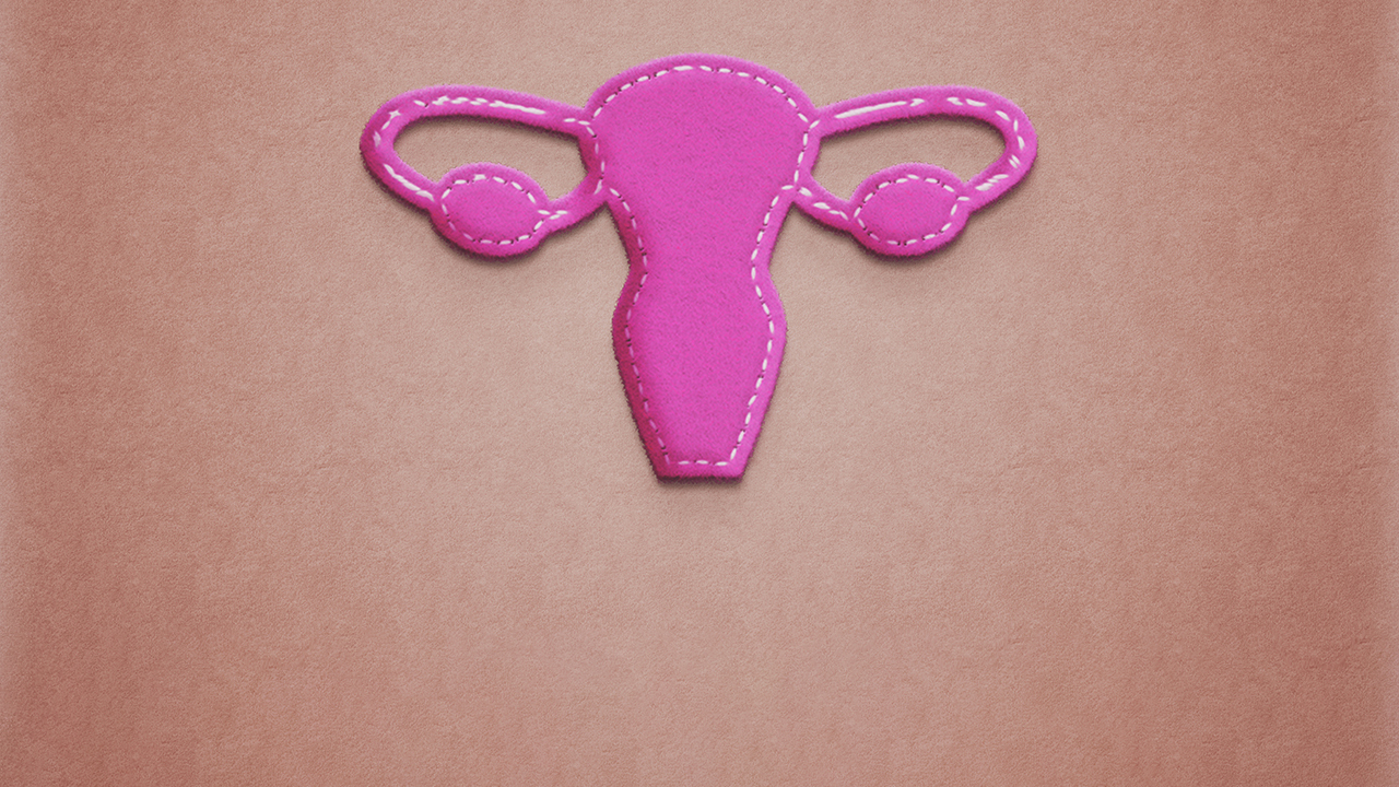 Fabric cut out illustration of uterus and fallopian tubes.