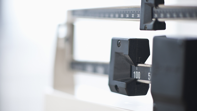 Close up image of the top of a scale. 