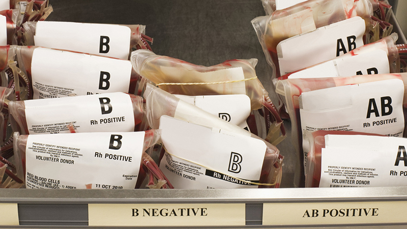 Bags of blood marked "B Rh Positive," "B Rh Negative," and "AB Rh Positive" in a rack.