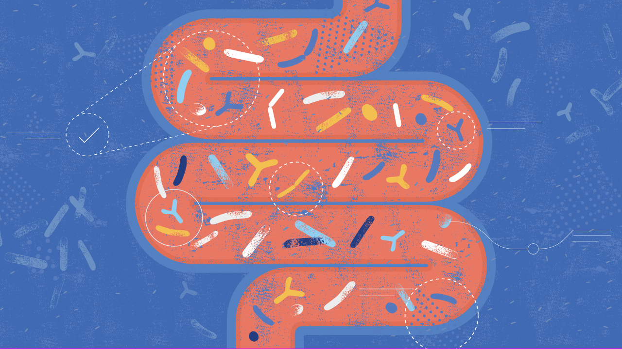 Various bacteria, illustration.