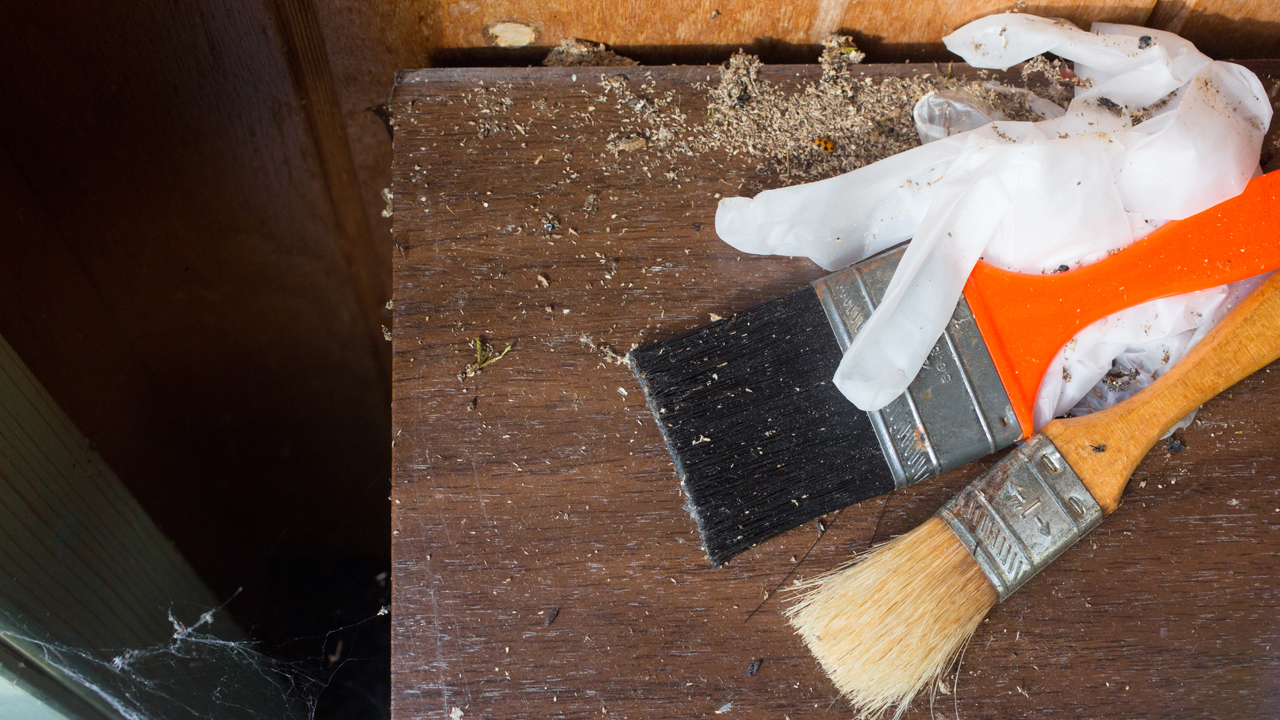 Mouse droppings and painting supplies in an old garage.