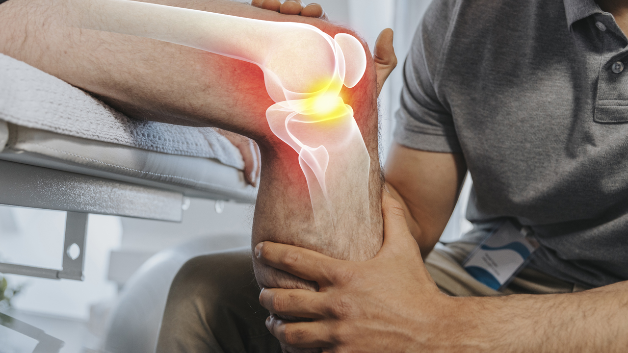 Physical therapist checking knee of patient with illustration of knee joint interior superimposed on knee.