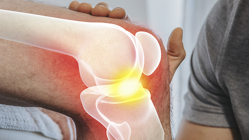 Physical therapist checking knee of patient with illustration of knee joint interior superimposed on knee.
