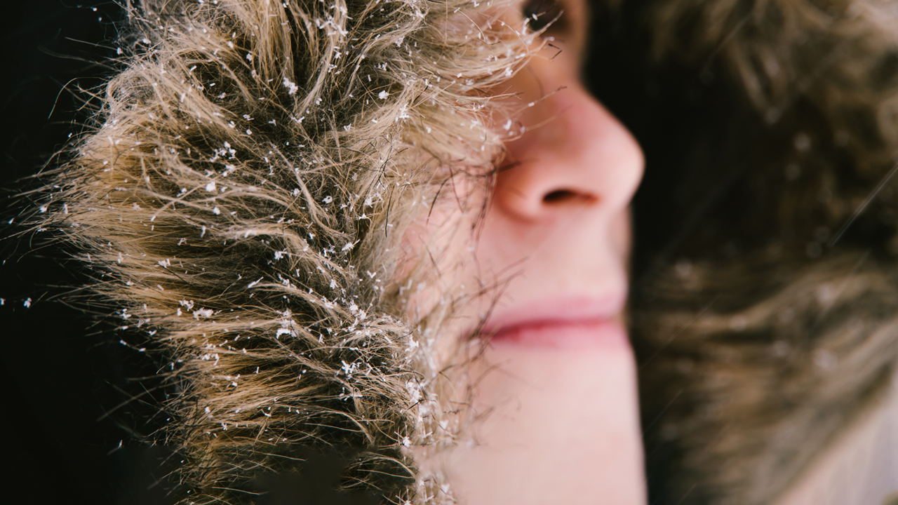 A nose peeking out of a faux fur-lined coat hood with snowflakes sprinkled on the fur.