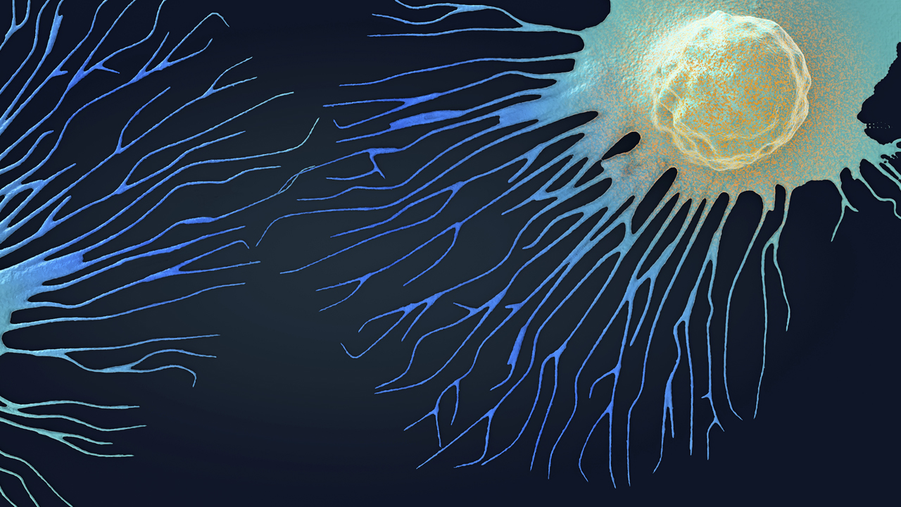 Digital illustration of a cancer cell.