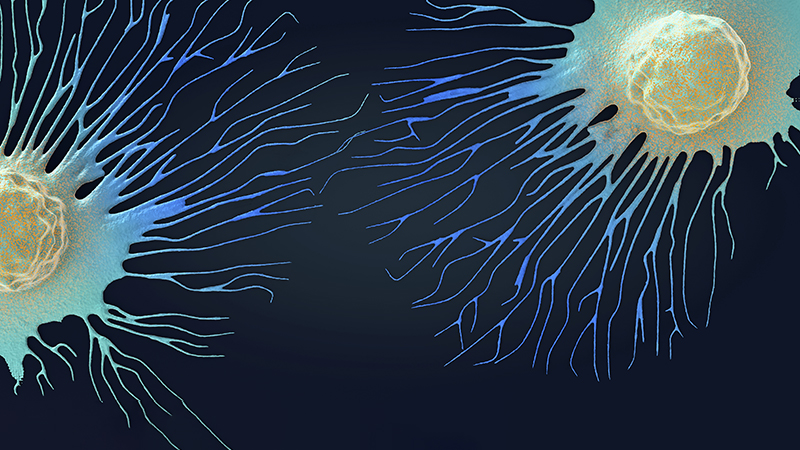 Digital illustration of a cancer cell.