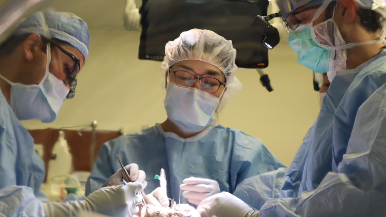 Northwestern Medicine transplant surgeons in the operating room using the ex vivo lung perfusion — or “lungs in a box” — device. 