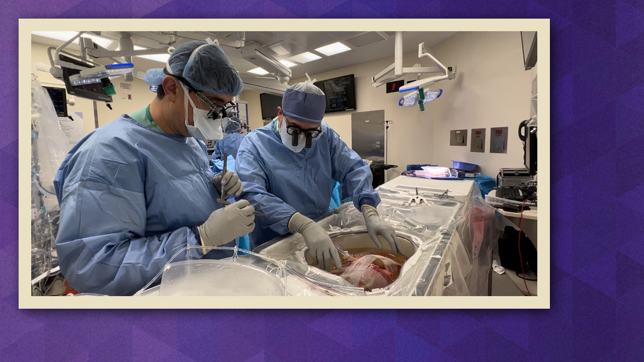 Two surgeons wearing blue scrubs, masks, caps, gloves and magnifying glasses, looking at a human liver in a clear basin.