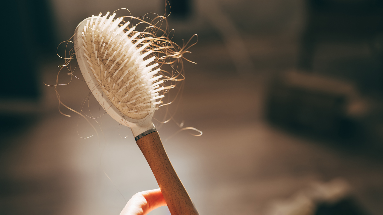 A person holding a wooden brush with hair.
