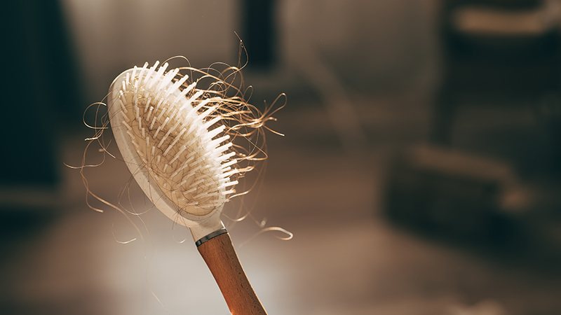 A person holding a wooden brush with hair.